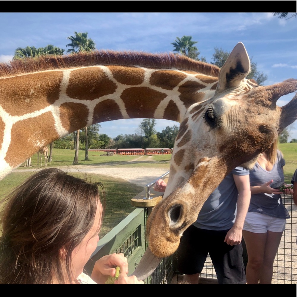 Meet your Posher, Jessica